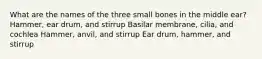 What are the names of the three small bones in the middle ear? Hammer, ear drum, and stirrup Basilar membrane, cilia, and cochlea Hammer, anvil, and stirrup Ear drum, hammer, and stirrup