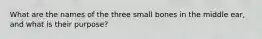 What are the names of the three small bones in the middle ear, and what is their purpose?