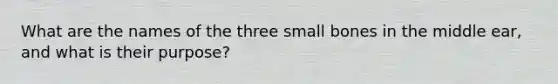 What are the names of the three small bones in the middle ear, and what is their purpose?