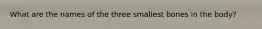 What are the names of the three smallest bones in the body?
