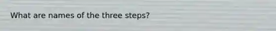 What are names of the three steps?