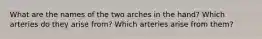 What are the names of the two arches in the hand? Which arteries do they arise from? Which arteries arise from them?