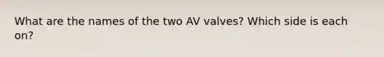 What are the names of the two AV valves? Which side is each on?