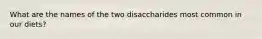 What are the names of the two disaccharides most common in our diets?