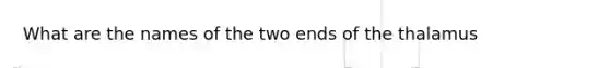 What are the names of the two ends of the thalamus