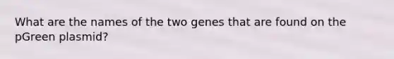 What are the names of the two genes that are found on the pGreen plasmid?