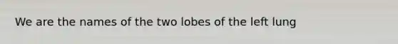 We are the names of the two lobes of the left lung