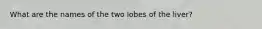 What are the names of the two lobes of the liver?