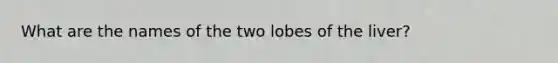 What are the names of the two lobes of the liver?