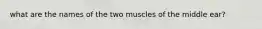 what are the names of the two muscles of the middle ear?