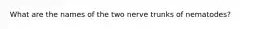 What are the names of the two nerve trunks of nematodes?