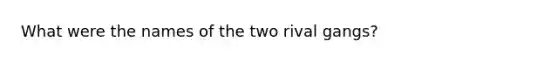 What were the names of the two rival gangs?