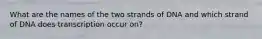 What are the names of the two strands of DNA and which strand of DNA does transcription occur on?