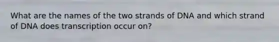 What are the names of the two strands of DNA and which strand of DNA does transcription occur on?