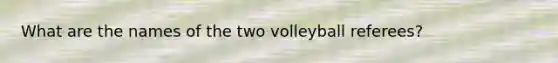 What are the names of the two volleyball referees?