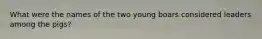 What were the names of the two young boars considered leaders among the pigs?