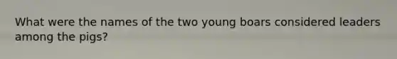 What were the names of the two young boars considered leaders among the pigs?