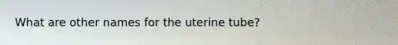 What are other names for the uterine tube?