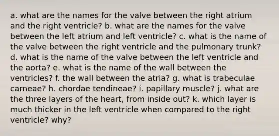 a. what are the names for the valve between the right atrium and the right ventricle? b. what are the names for the valve between the left atrium and left ventricle? c. what is the name of the valve between the right ventricle and the pulmonary trunk? d. what is the name of the valve between the left ventricle and the aorta? e. what is the name of the wall between the ventricles? f. the wall between the atria? g. what is trabeculae carneae? h. chordae tendineae? i. papillary muscle? j. what are the three layers of the heart, from inside out? k. which layer is much thicker in the left ventricle when compared to the right ventricle? why?