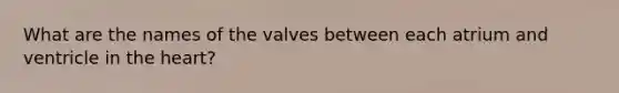 What are the names of the valves between each atrium and ventricle in the heart?