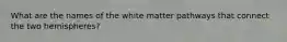 What are the names of the white matter pathways that connect the two hemispheres?