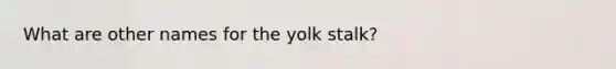 What are other names for the yolk stalk?