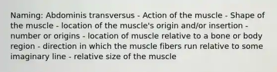 Naming: Abdominis transversus - Action of the muscle - Shape of the muscle - location of the muscle's origin and/or insertion - number or origins - location of muscle relative to a bone or body region - direction in which the muscle fibers run relative to some imaginary line - relative size of the muscle