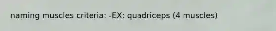 naming muscles criteria: -EX: quadriceps (4 muscles)