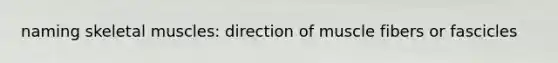 naming skeletal muscles: direction of muscle fibers or fascicles