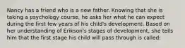 Nancy has a friend who is a new father. Knowing that she is taking a psychology course, he asks her what he can expect during the first few years of his child's development. Based on her understanding of Erikson's stages of development, she tells him that the first stage his child will pass through is called: