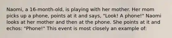 Naomi, a 16-month-old, is playing with her mother. Her mom picks up a phone, points at it and says, "Look! A phone!" Naomi looks at her mother and then at the phone. She points at it and echos: "Phone!" This event is most closely an example of: