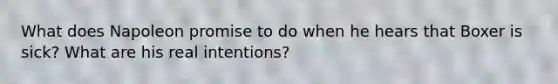 What does Napoleon promise to do when he hears that Boxer is sick? What are his real intentions?