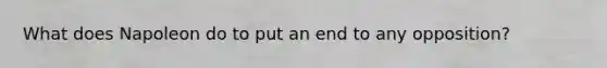 What does Napoleon do to put an end to any opposition?