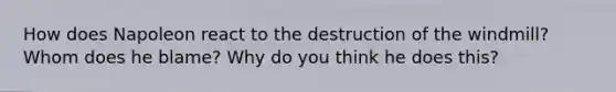 How does Napoleon react to the destruction of the windmill? Whom does he blame? Why do you think he does this?