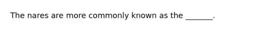 The nares are more commonly known as the _______.