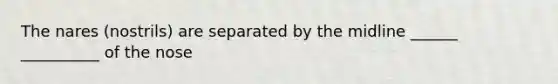 The nares (nostrils) are separated by the midline ______ __________ of the nose