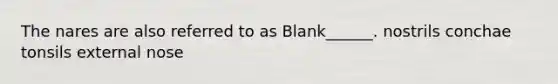 The nares are also referred to as Blank______. nostrils conchae tonsils external nose