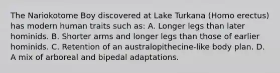 The Nariokotome Boy discovered at Lake Turkana (Homo erectus) has modern human traits such as: A. Longer legs than later hominids. B. Shorter arms and longer legs than those of earlier hominids. C. Retention of an australopithecine-like body plan. D. A mix of arboreal and bipedal adaptations.