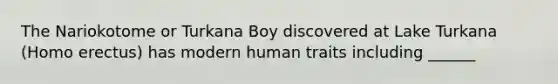 The Nariokotome or Turkana Boy discovered at Lake Turkana (Homo erectus) has modern human traits including ______