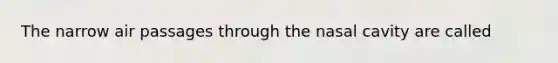 The narrow air passages through the nasal cavity are called