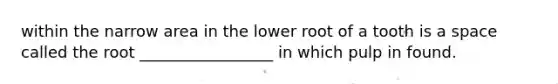 within the narrow area in the lower root of a tooth is a space called the root _________________ in which pulp in found.