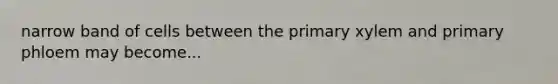 narrow band of cells between the primary xylem and primary phloem may become...