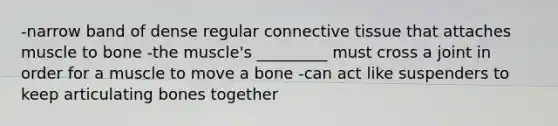 -narrow band of dense regular connective tissue that attaches muscle to bone -the muscle's _________ must cross a joint in order for a muscle to move a bone -can act like suspenders to keep articulating bones together