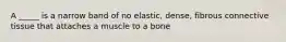 A _____ is a narrow band of no elastic, dense, fibrous connective tissue that attaches a muscle to a bone