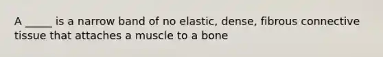 A _____ is a narrow band of no elastic, dense, fibrous <a href='https://www.questionai.com/knowledge/kYDr0DHyc8-connective-tissue' class='anchor-knowledge'>connective tissue</a> that attaches a muscle to a bone