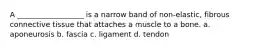 A __________________ is a narrow band of non-elastic, fibrous connective tissue that attaches a muscle to a bone. a. aponeurosis b. fascia c. ligament d. tendon