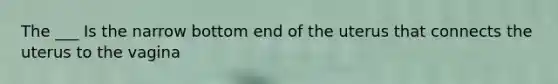 The ___ Is the narrow bottom end of the uterus that connects the uterus to the vagina