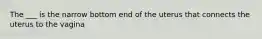 The ___ is the narrow bottom end of the uterus that connects the uterus to the vagina