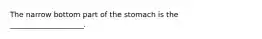 The narrow bottom part of the stomach is the ____________________.