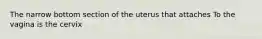 The narrow bottom section of the uterus that attaches To the vagina is the cervix